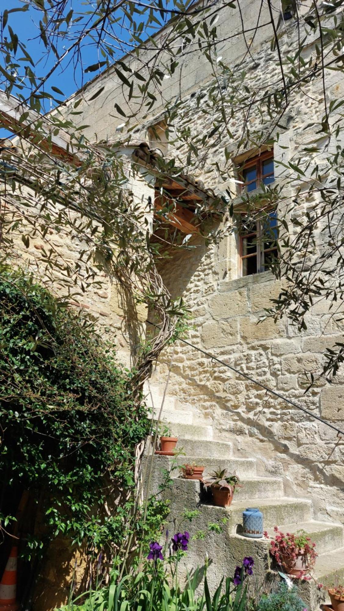 Ferienwohnung Le Petit Domeynes Exterior foto
